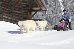 Kandersteg 2013